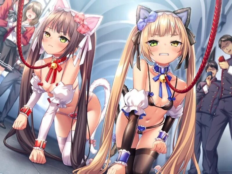 ¡El eroge de Saint Dorei Gakuen 2 tendrá una versión animada!