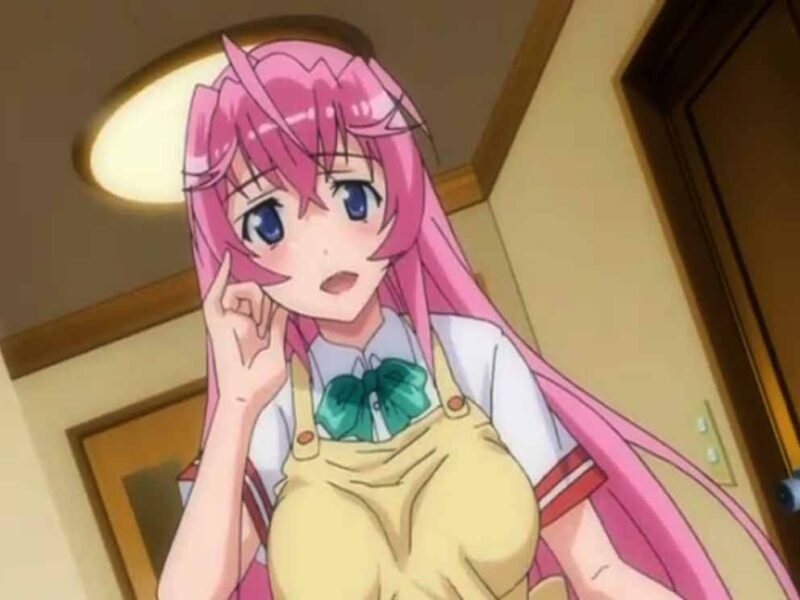 Otome Dori cumple hoy 10 años de su estreno