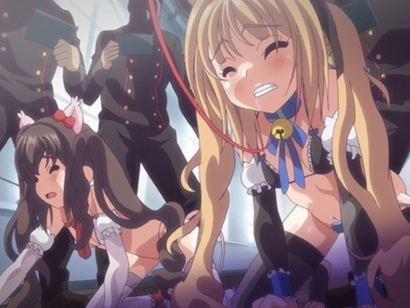 Revelan las primeras imágenes de Sei Dorei Gakuen 2 02