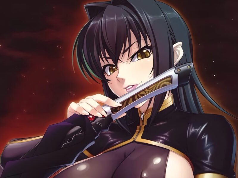 El hentai de Koutetsu no Majo Annerose cumple 10 años de su estreno