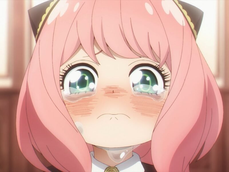 La industria de la animación hentai podría desaparecer en unos años