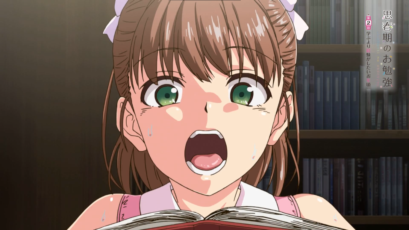 Shishunki no Obenkyou va a tener un cuarto episodio, según una «filtración»