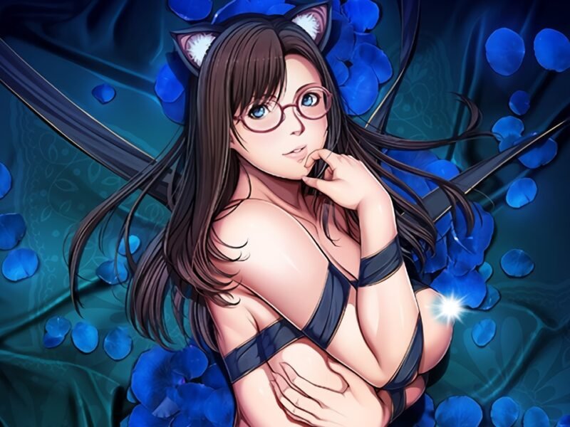 El juego H de SLEEPLESS Nocturne será animado