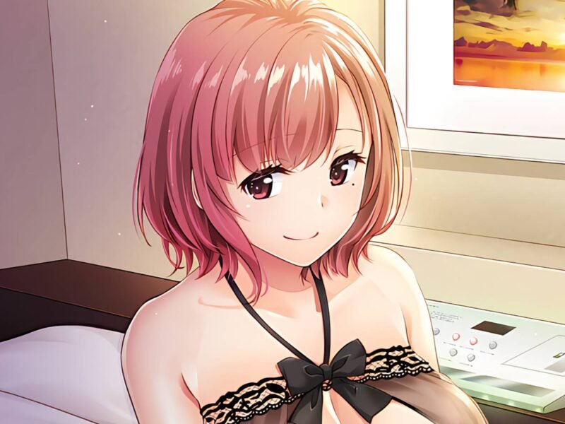 Hombre gana dinero embarazando mujeres en este nuevo anime «H»