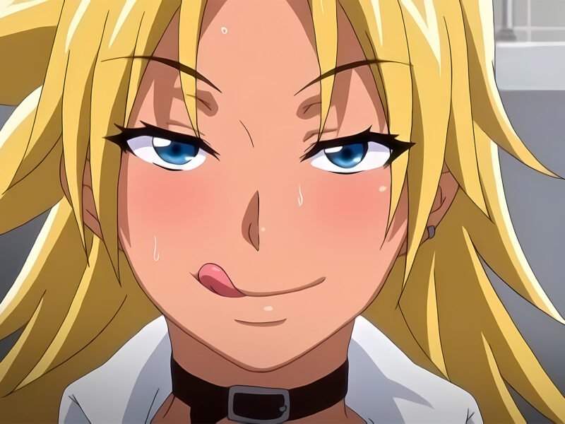 ¡Llegarán nuevos lanzamientos hentai para América y Europa!